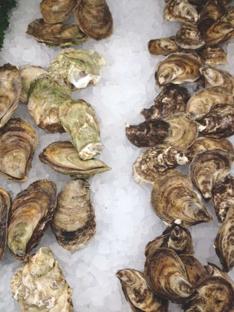 A bunch of Beausoleil oysters displayed on ice.