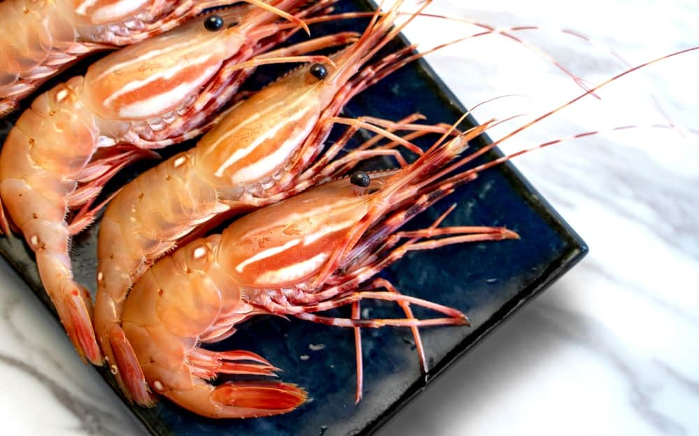 A close look at a row of raw spot shrimps.