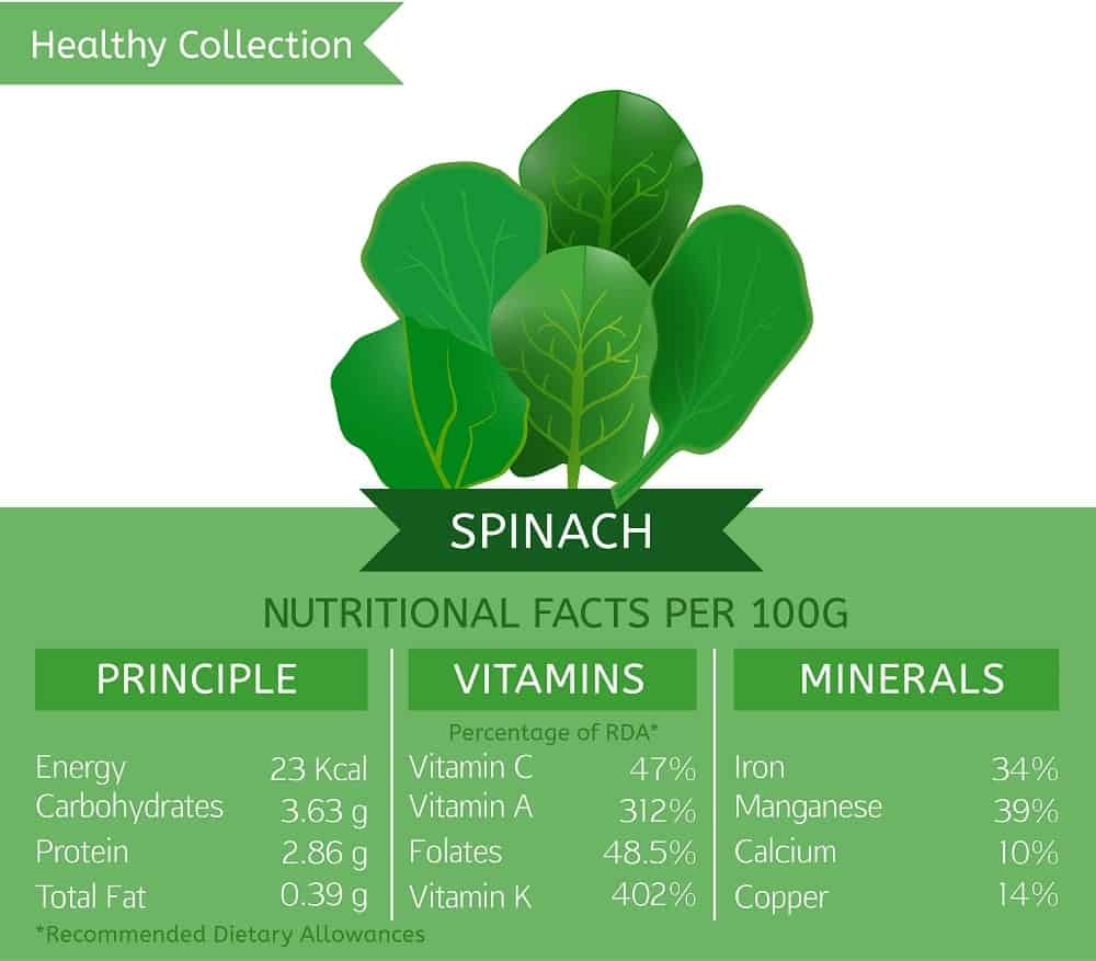 infographic on spinach nutrition facts