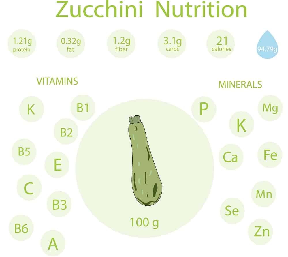 An illustrative chart depicting the nutritional content of zucchini.