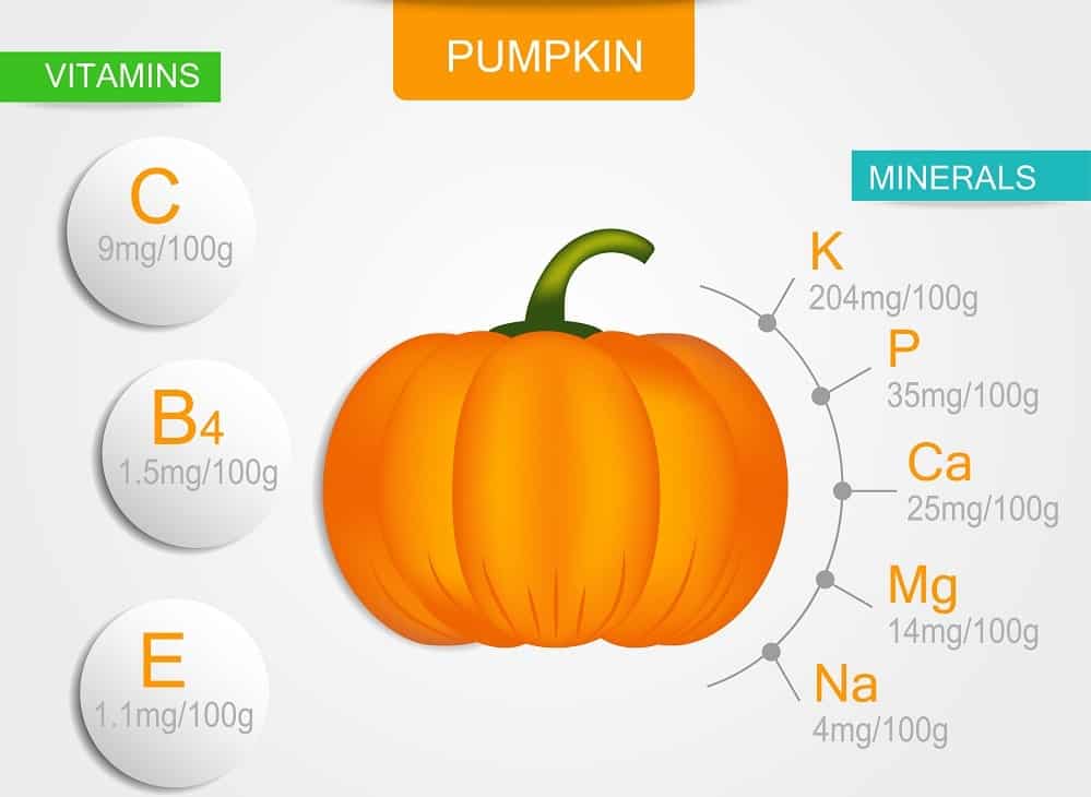 An illustrative chart depicting the nutritional content of pumpkin.