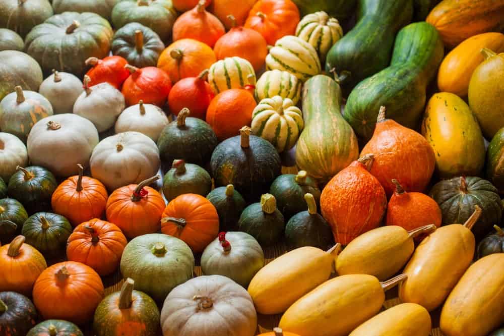 Bunches of various colorful squash.