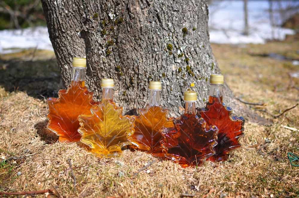 A row of different maple syrups in decorative leaf-shaped bottles.