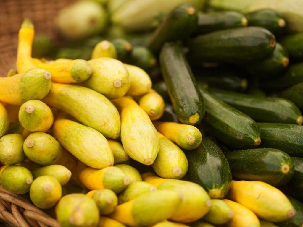 How To Bake Zucchini And Squash