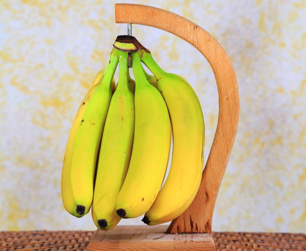 A cluster of bananas hanging from a wooden apparatus.