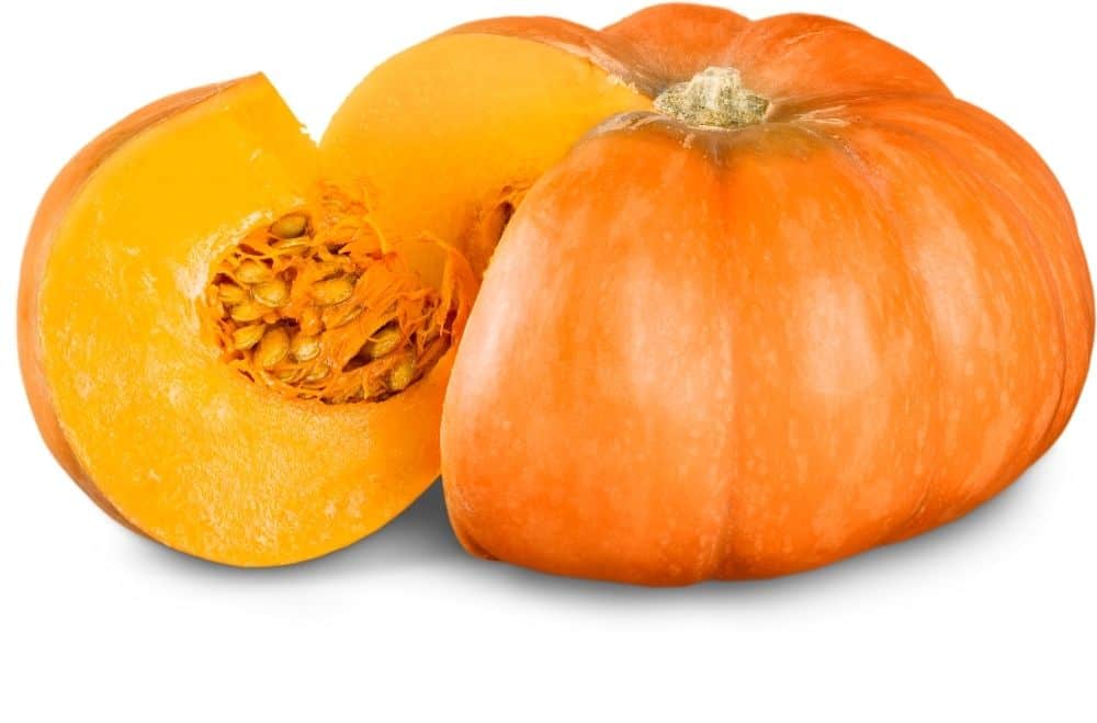 Parts of a Pumpkin
