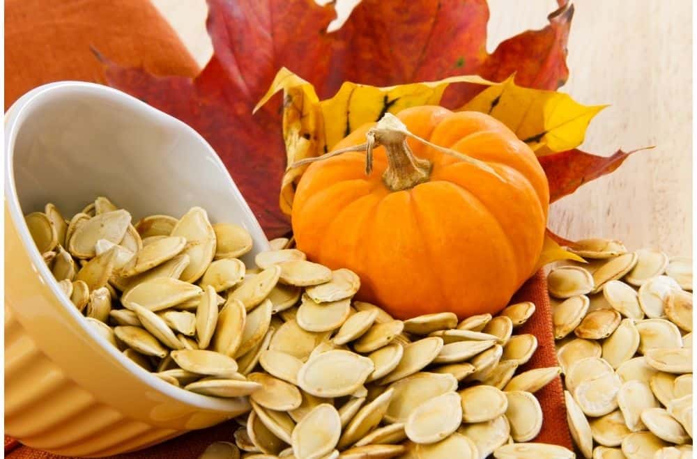 small pumpkin with a bowl of pumpkin seeds