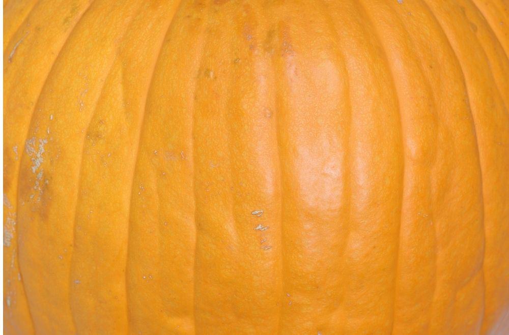 Pumpkin Shell, Skin and Ribs are the outer parts of a pumpkin