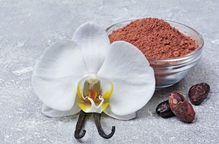 Four of the Best Tasting Vanilla Bean Powders