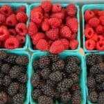 black-and-red-raspberries