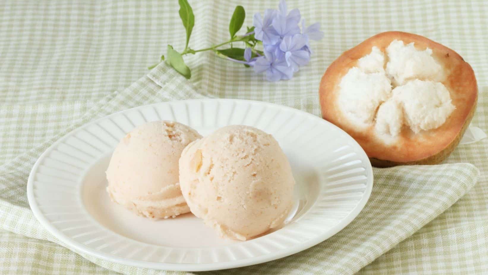 Santol fruit ice cream