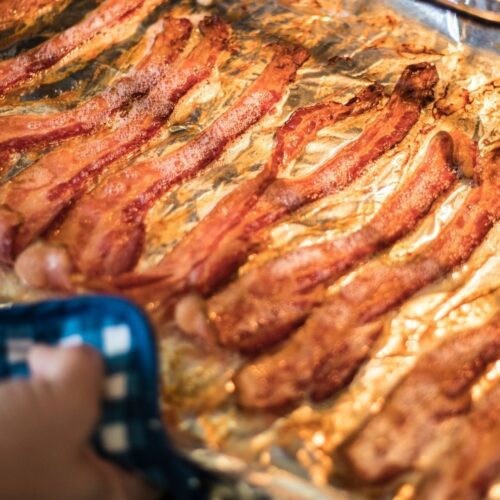 How to Cook Bacon in a Convection Oven Homeperch