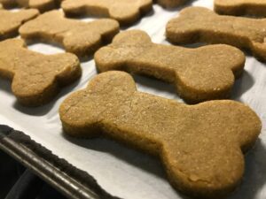 Pumpkin Dog Treats