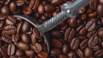 how-to-roast-coffee-beans