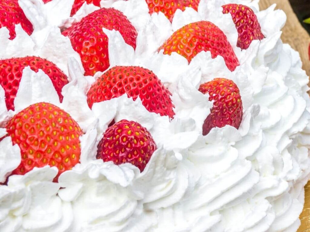 fresh whipped cream and strawberries