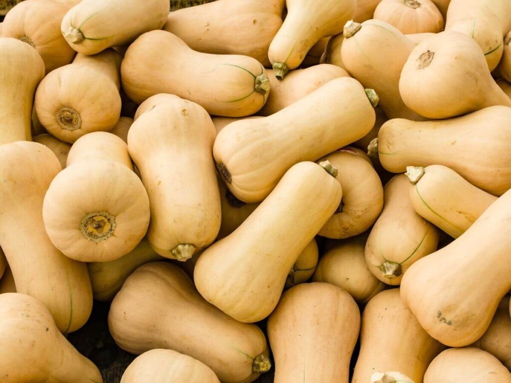 a pile of whole butternut squash 