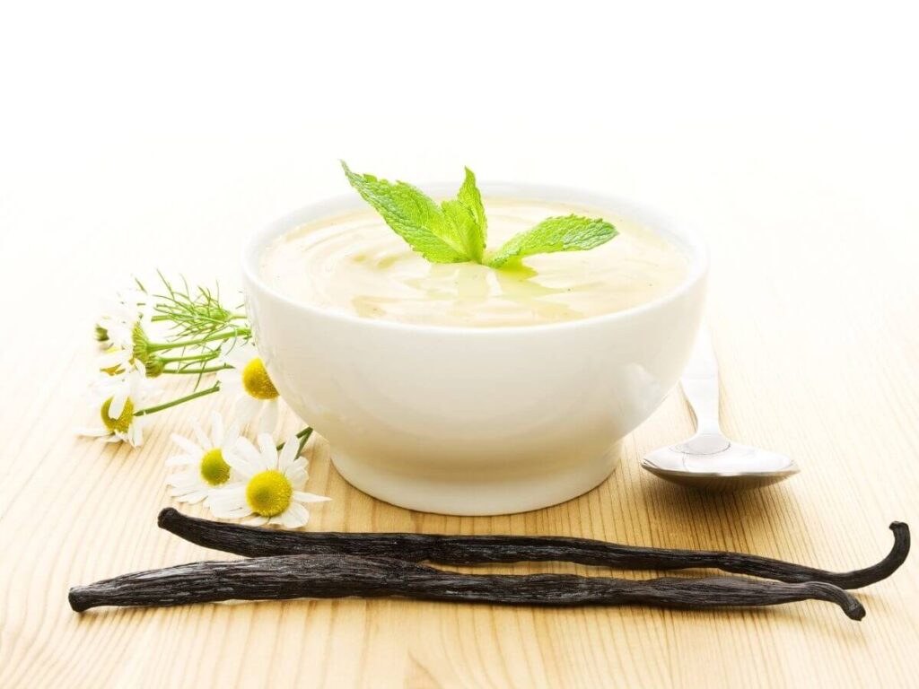 bowl of vanilla yogurt made from plain yogurt