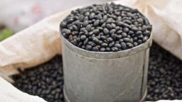 canned-black-beans