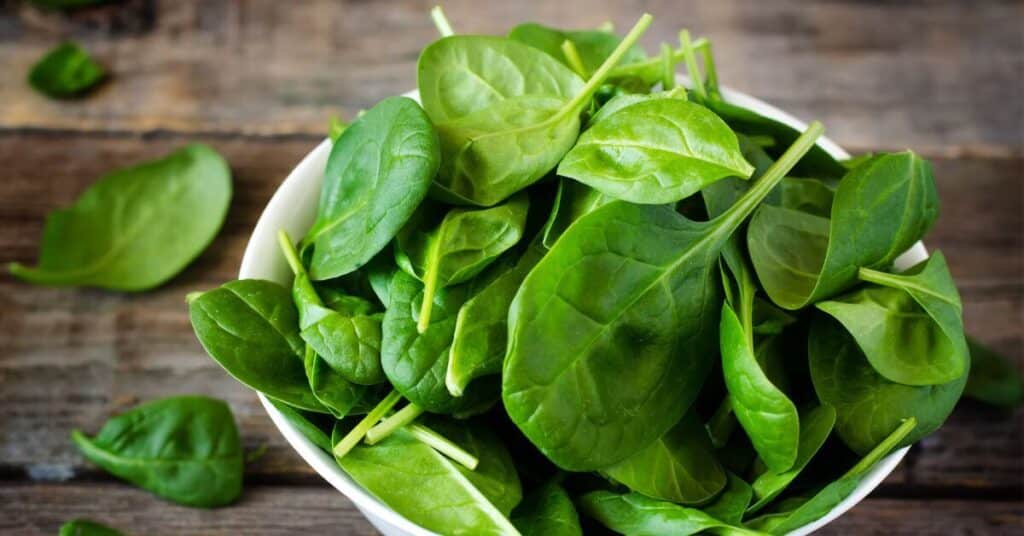 bowl of fresh spinach