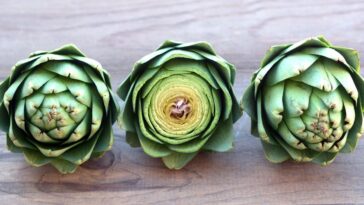 artichoke