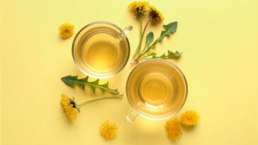 dandelion-tea