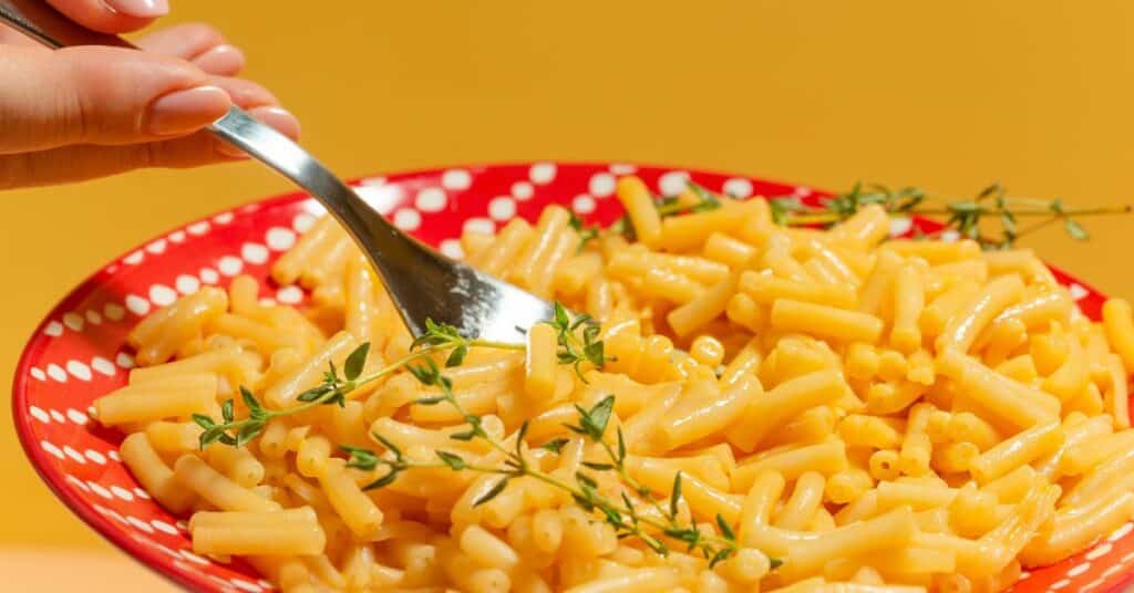 Plate of Kraft Mac and Cheese made with No Milk