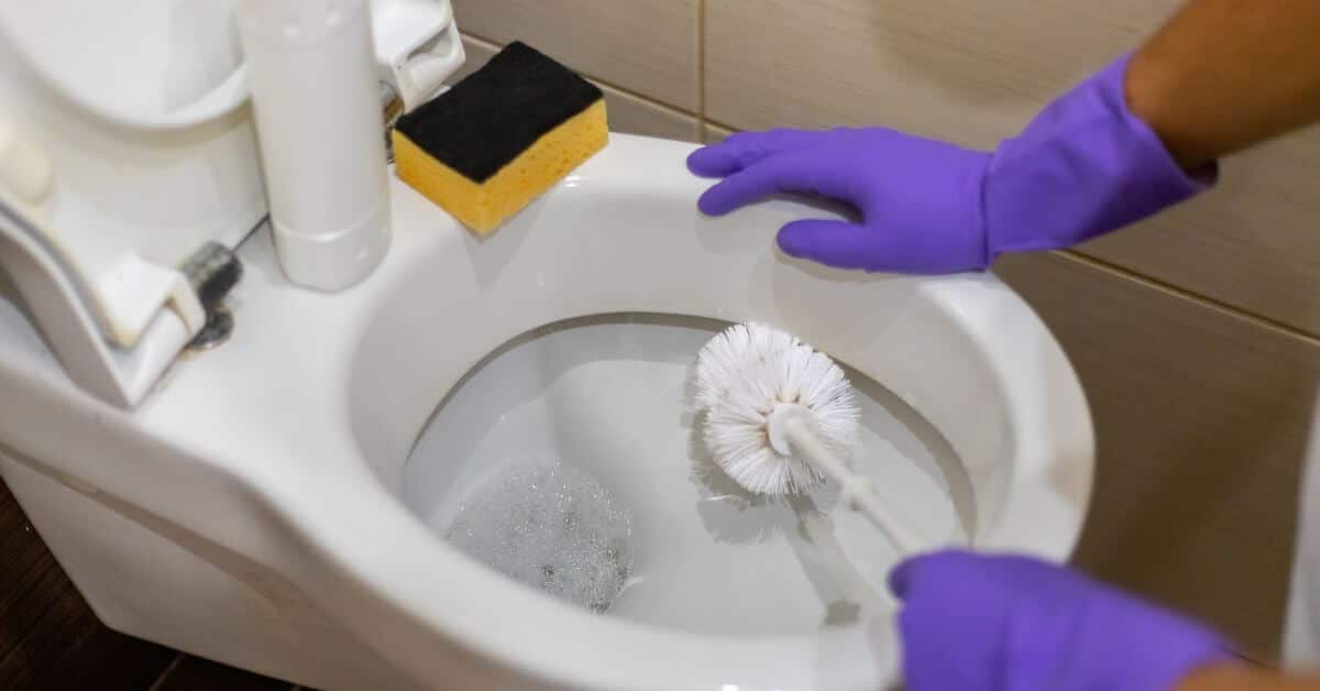 How To Clean The Ring Around The Toilet