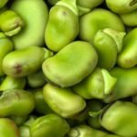 canned-lima-beans