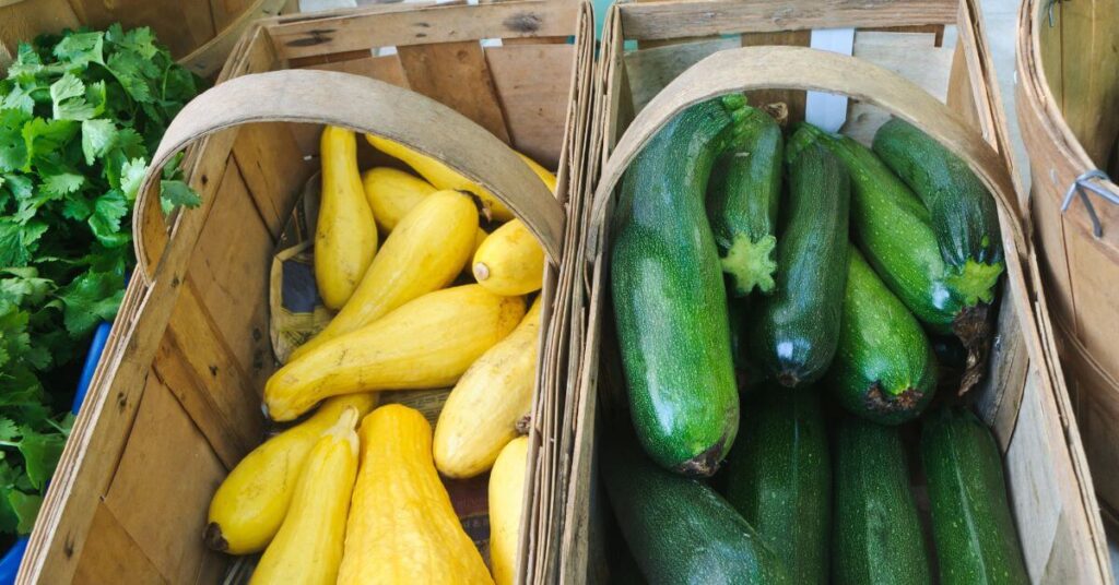 fresh squash and zucchini