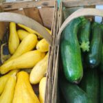 squash and zucchini