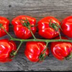 how-to-make-tomatoes-taste-sweeter
