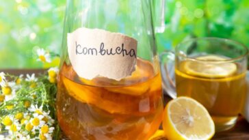 kombucha