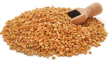 fenugreek-seeds