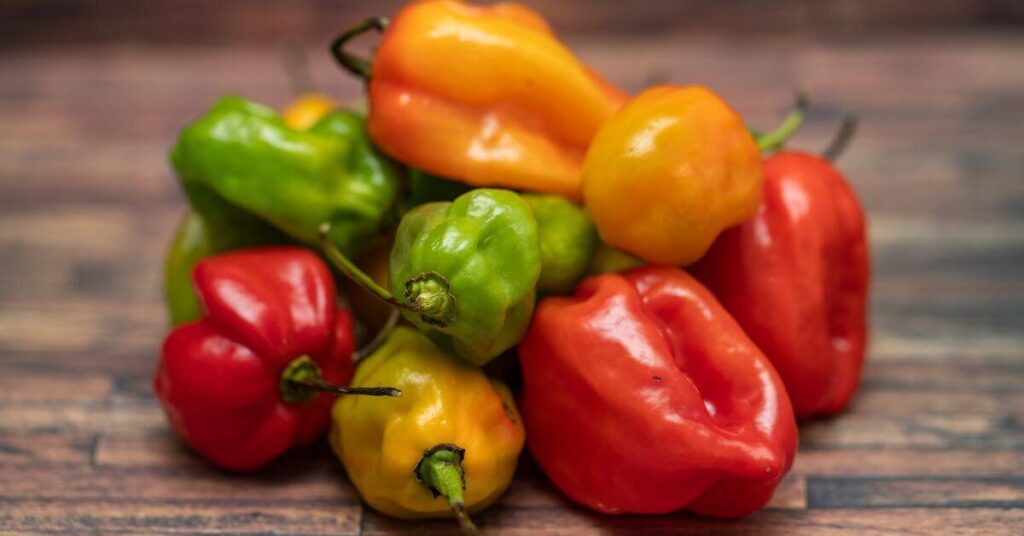 a bunch of Habanero Peppers in different colors