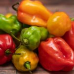 habanero-peppers