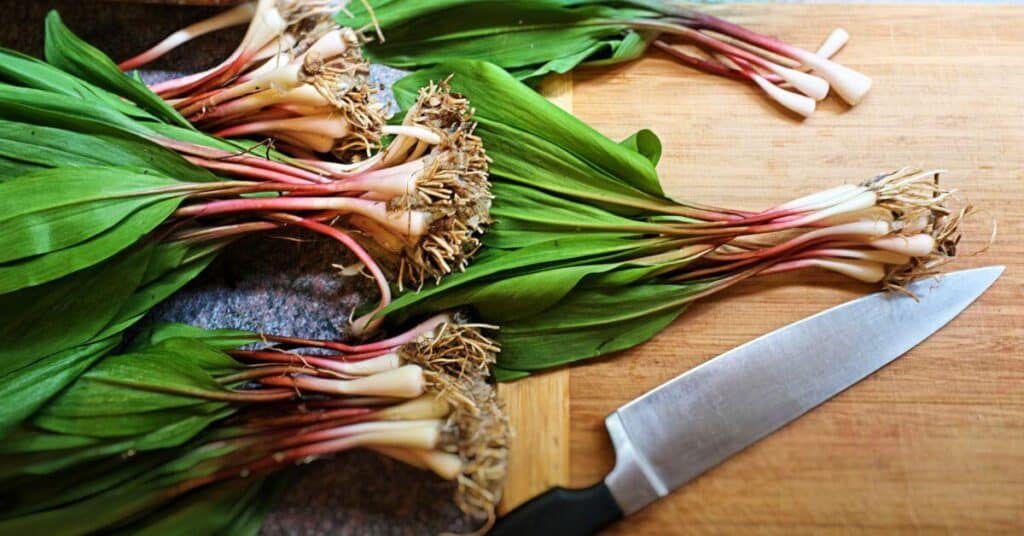 fresh ramps