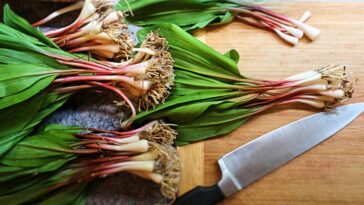ramps