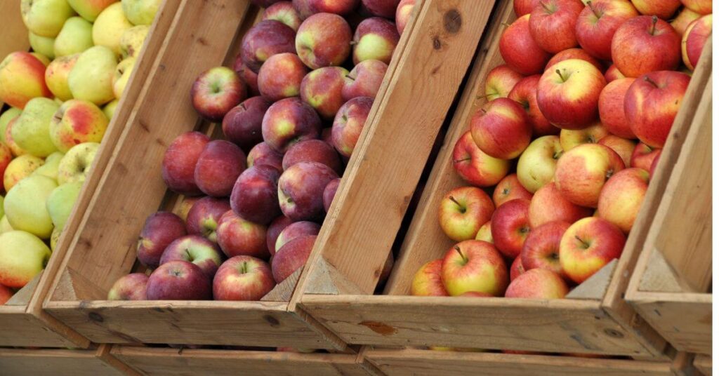 display of different kinds of apples