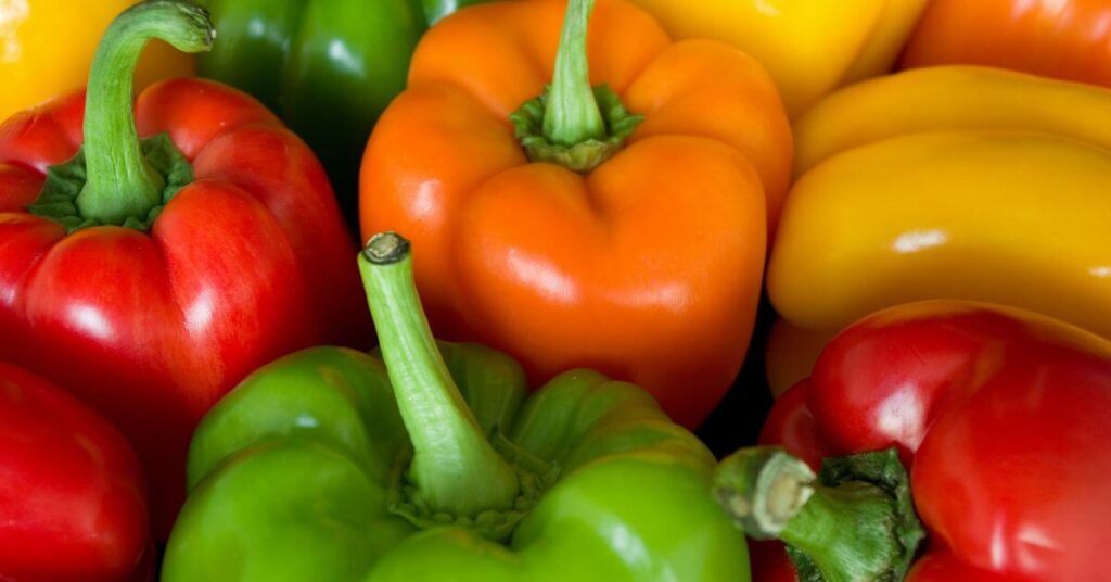 different colored bell peppers