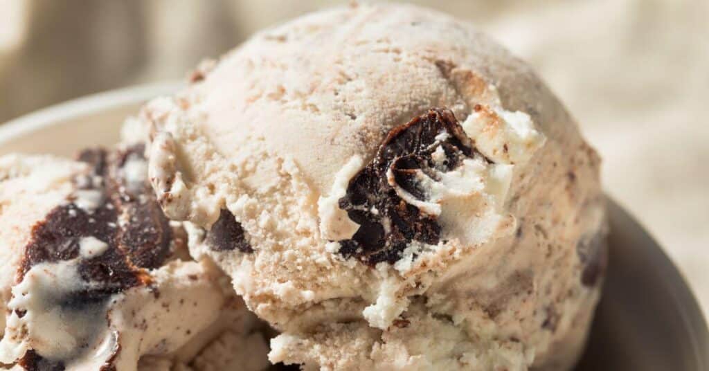 What is Moose Tracks Ice Cream? 