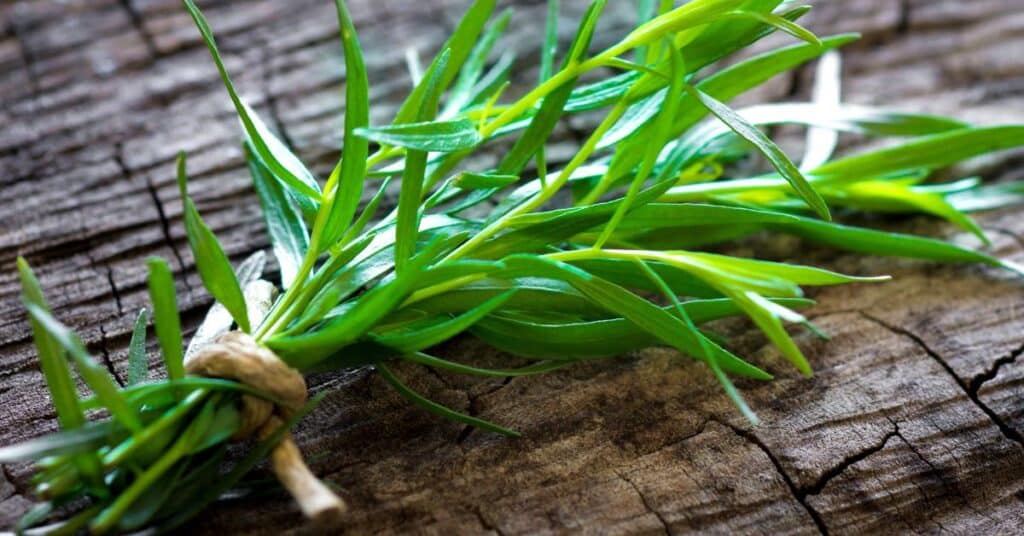 freshly cut tarragon