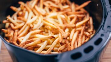air-fryer-french-fries