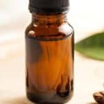 Coffee Fruit extract