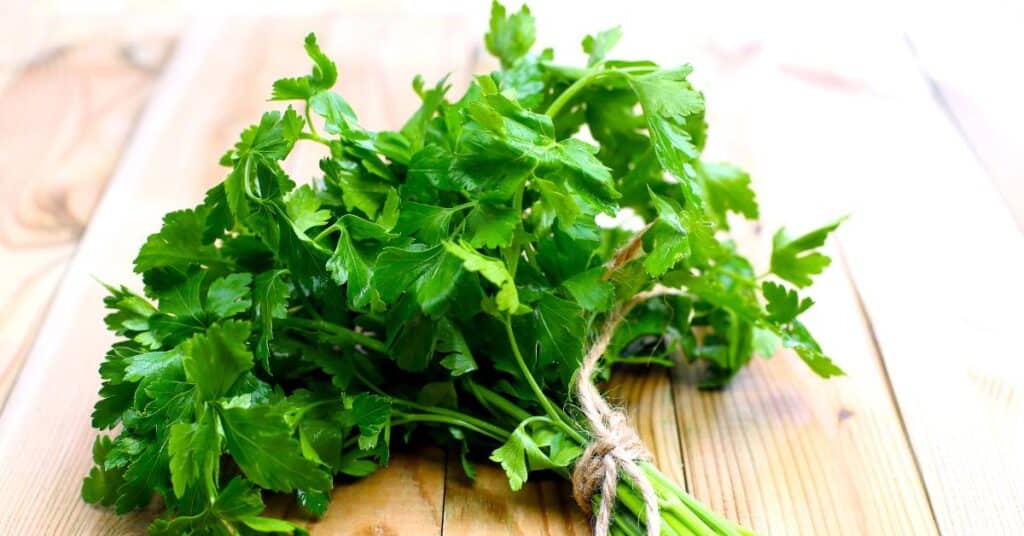 fresh parsley