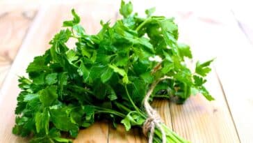 parsley