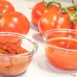 salsa and picante sauce