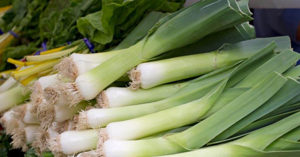 fresh bunch of leeks