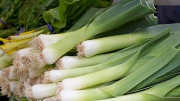 leeks