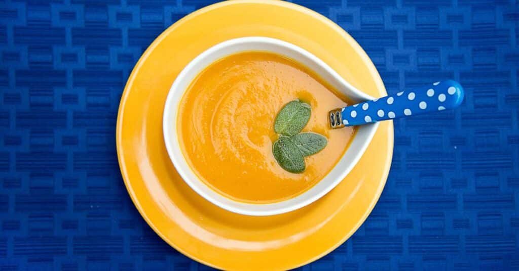 bowl of butternut squash soup