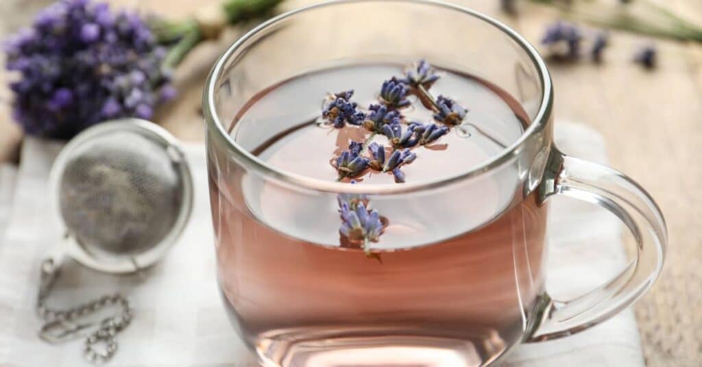 cup of hot elderberry tea